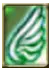 Wings of Desillusion Attack Strengthener Skill