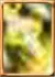 Magic Arrow Enhancement Skill Skill